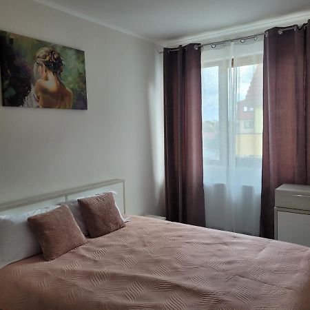 Amparo Lägenhet Satu Mare Exteriör bild