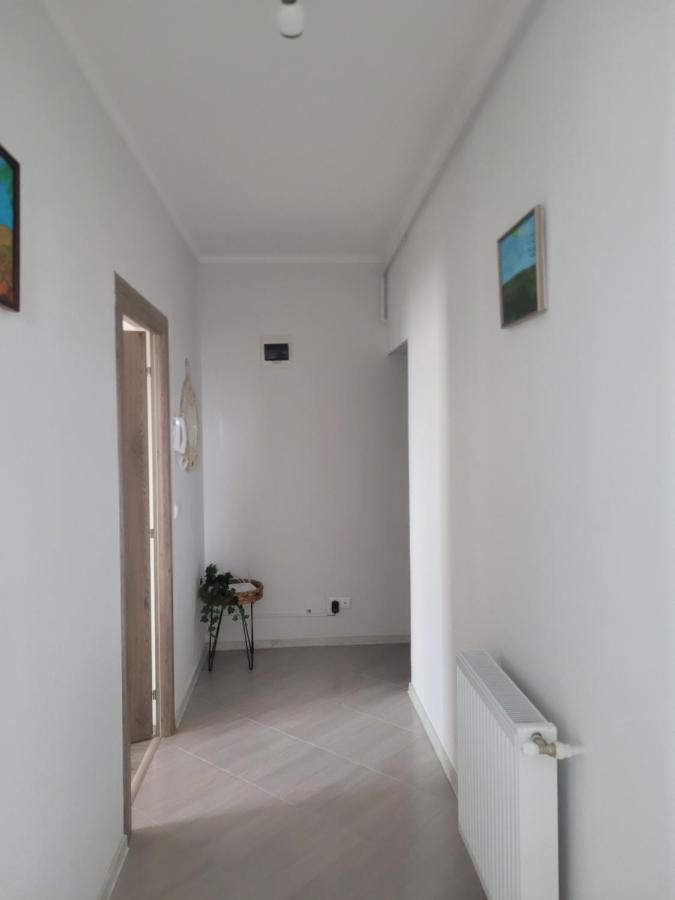 Amparo Lägenhet Satu Mare Exteriör bild